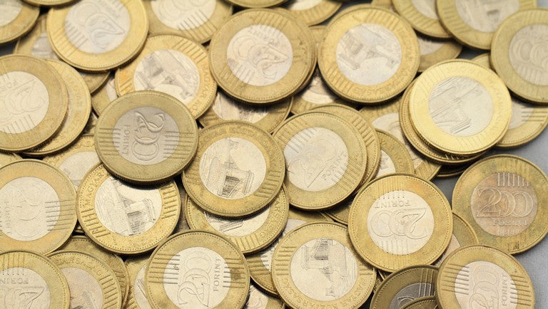 A Forint: Magyarország Történelme és Értékei Zsebünkben